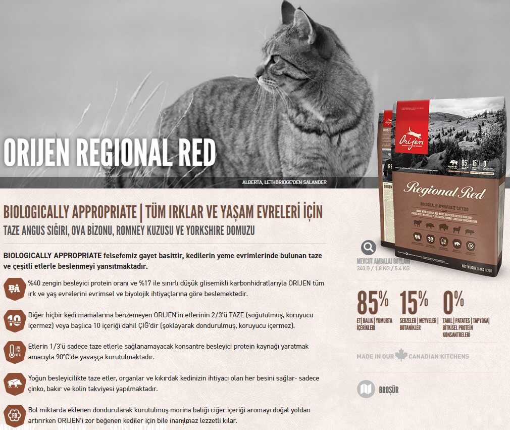 Orijen Regional Red Tahılsız Sığır Etli Yavru Yetişkin Kedi Maması 